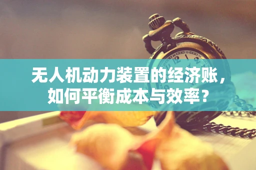 无人机动力装置的经济账，如何平衡成本与效率？