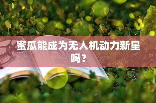 蜜瓜能成为无人机动力新星吗？