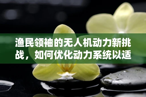 渔民领袖的无人机动力新挑战，如何优化动力系统以适应复杂海况？