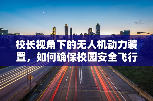 校长视角下的无人机动力装置，如何确保校园安全飞行的心脏健康？