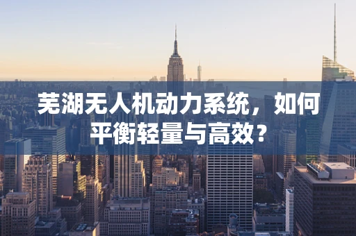 芜湖无人机动力系统，如何平衡轻量与高效？