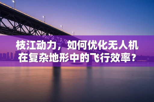 枝江动力，如何优化无人机在复杂地形中的飞行效率？