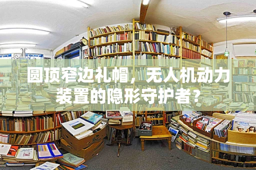 圆顶窄边礼帽，无人机动力装置的隐形守护者？