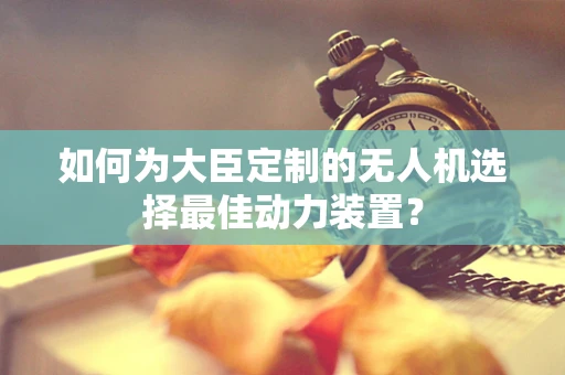 如何为大臣定制的无人机选择最佳动力装置？