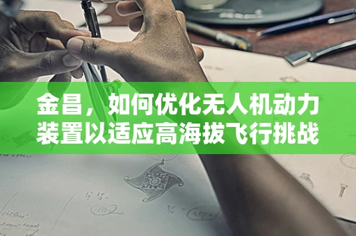 金昌，如何优化无人机动力装置以适应高海拔飞行挑战？