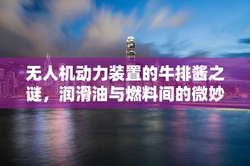 无人机动力装置的牛排酱之谜，润滑油与燃料间的微妙平衡