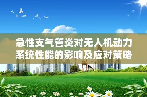急性支气管炎对无人机动力系统性能的影响及应对策略