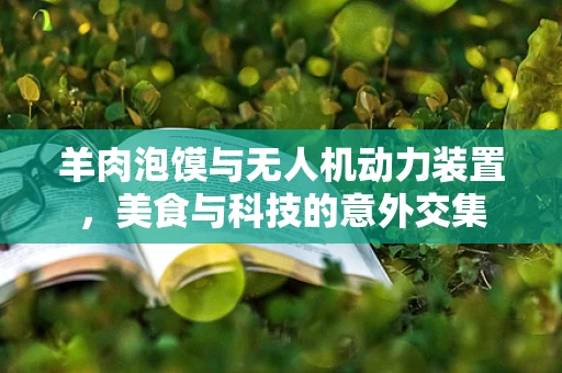 羊肉泡馍与无人机动力装置，美食与科技的意外交集