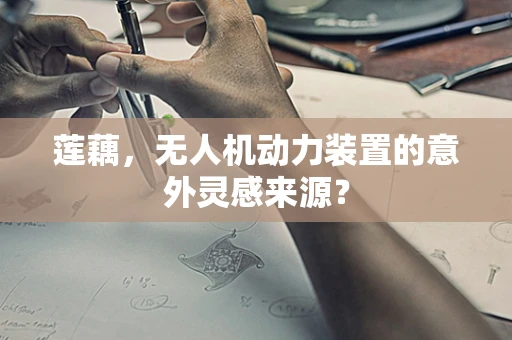 莲藕，无人机动力装置的意外灵感来源？