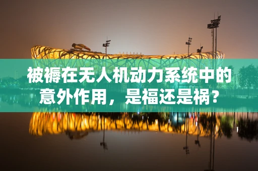 被褥在无人机动力系统中的意外作用，是福还是祸？