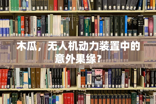 木瓜，无人机动力装置中的意外果缘？