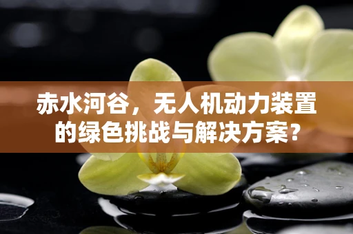 赤水河谷，无人机动力装置的绿色挑战与解决方案？