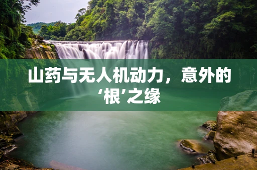山药与无人机动力，意外的‘根’之缘