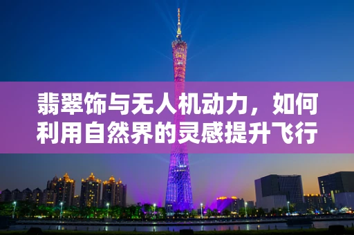 翡翠饰与无人机动力，如何利用自然界的灵感提升飞行效率？