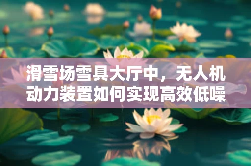 滑雪场雪具大厅中，无人机动力装置如何实现高效低噪？