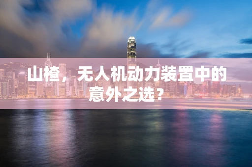 山楂，无人机动力装置中的意外之选？