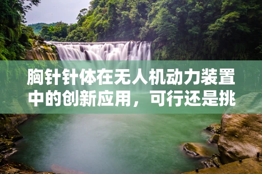 胸针针体在无人机动力装置中的创新应用，可行还是挑战？