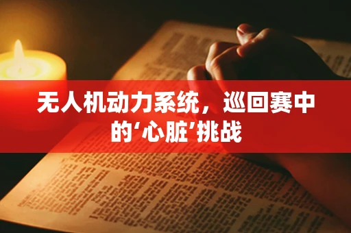 无人机动力系统，巡回赛中的‘心脏’挑战