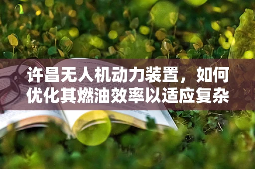 许昌无人机动力装置，如何优化其燃油效率以适应复杂地形飞行？