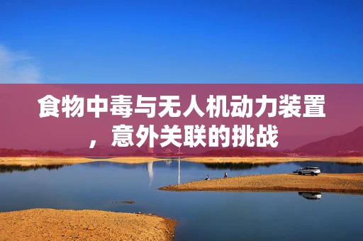 食物中毒与无人机动力装置，意外关联的挑战