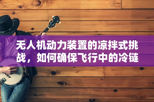 无人机动力装置的凉拌式挑战，如何确保飞行中的冷链安全？