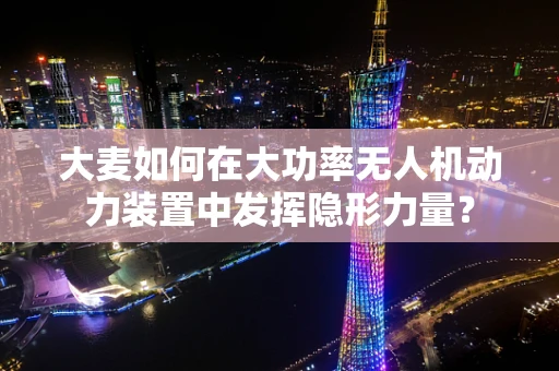 大麦如何在大功率无人机动力装置中发挥隐形力量？