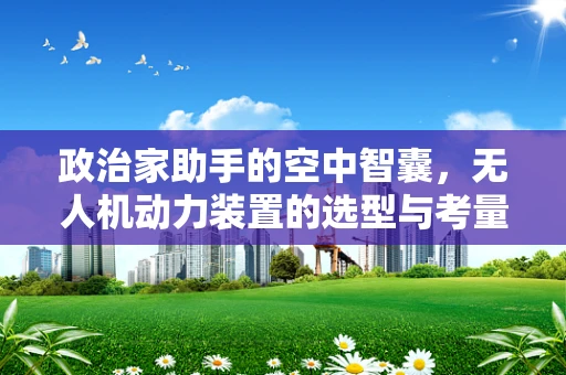 政治家助手的空中智囊，无人机动力装置的选型与考量