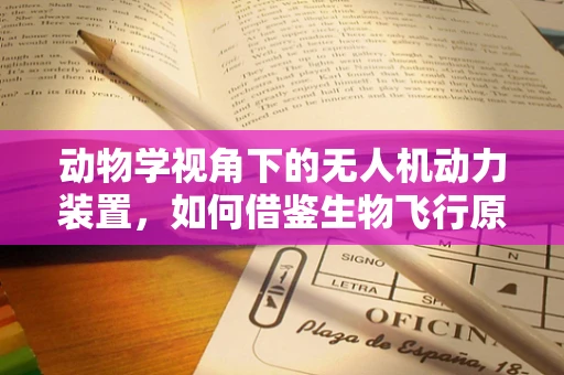 动物学视角下的无人机动力装置，如何借鉴生物飞行原理提升效能？