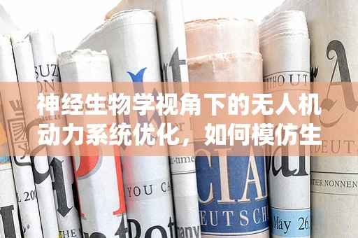 神经生物学视角下的无人机动力系统优化，如何模仿生物飞行机制？