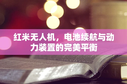 红米无人机，电池续航与动力装置的完美平衡