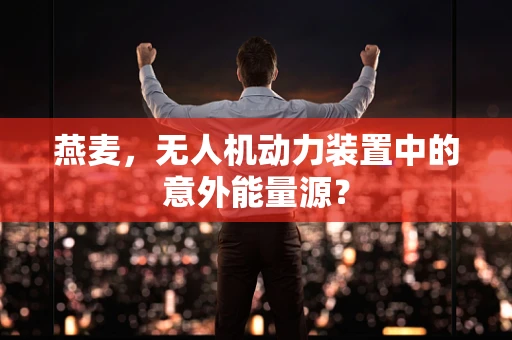 燕麦，无人机动力装置中的意外能量源？