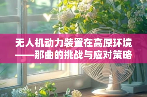 无人机动力装置在高原环境——那曲的挑战与应对策略