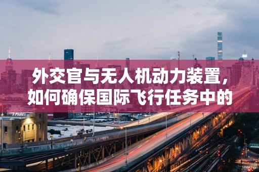 外交官与无人机动力装置，如何确保国际飞行任务中的安全与高效？