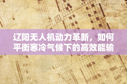 辽阳无人机动力革新，如何平衡寒冷气候下的高效能输出？