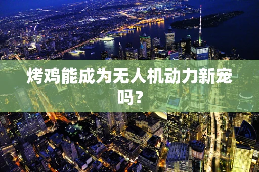 烤鸡能成为无人机动力新宠吗？