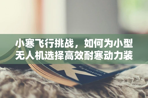 小寒飞行挑战，如何为小型无人机选择高效耐寒动力装置？