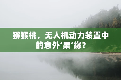 猕猴桃，无人机动力装置中的意外‘果’缘？