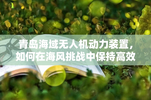 青岛海域无人机动力装置，如何在海风挑战中保持高效与稳定？
