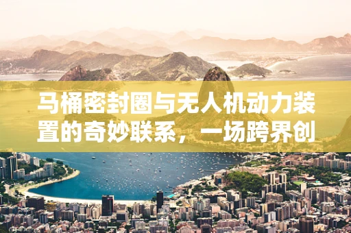 马桶密封圈与无人机动力装置的奇妙联系，一场跨界创新的启示