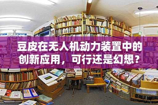 豆皮在无人机动力装置中的创新应用，可行还是幻想？