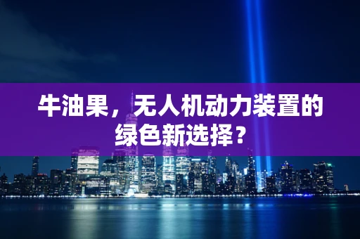 牛油果，无人机动力装置的绿色新选择？