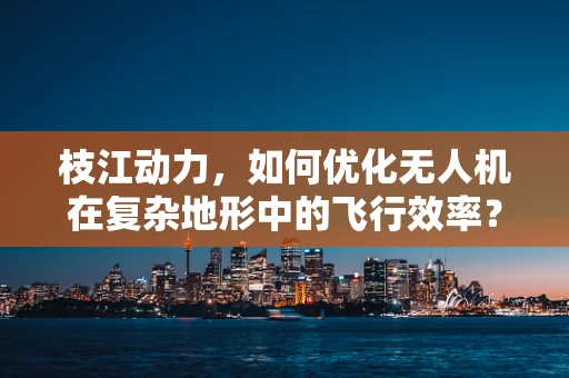 枝江动力，如何优化无人机在复杂地形中的飞行效率？