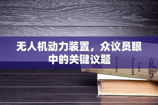无人机动力装置，众议员眼中的关键议题