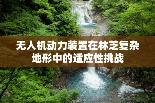 无人机动力装置在林芝复杂地形中的适应性挑战