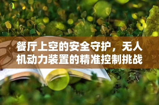 餐厅上空的安全守护，无人机动力装置的精准控制挑战
