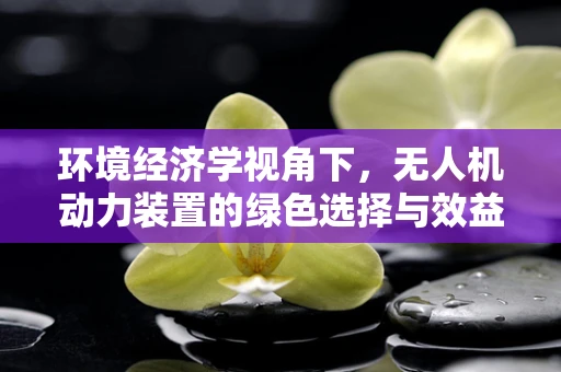 环境经济学视角下，无人机动力装置的绿色选择与效益评估