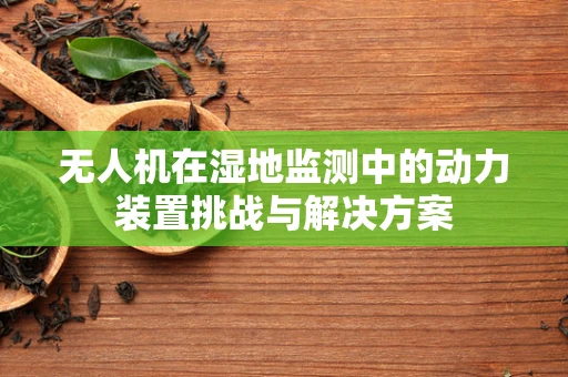 无人机在湿地监测中的动力装置挑战与解决方案