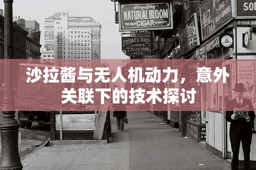 沙拉酱与无人机动力，意外关联下的技术探讨