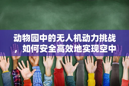 动物园中的无人机动力挑战，如何安全高效地实现空中巡逻？