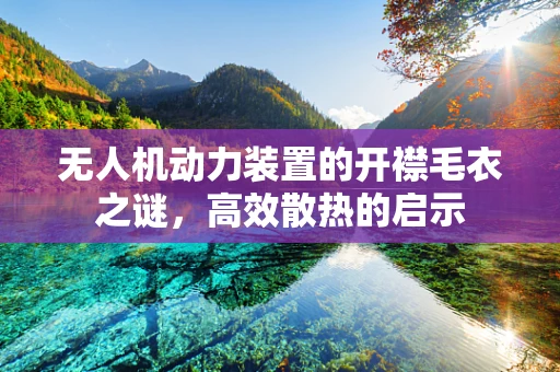 无人机动力装置的开襟毛衣之谜，高效散热的启示
